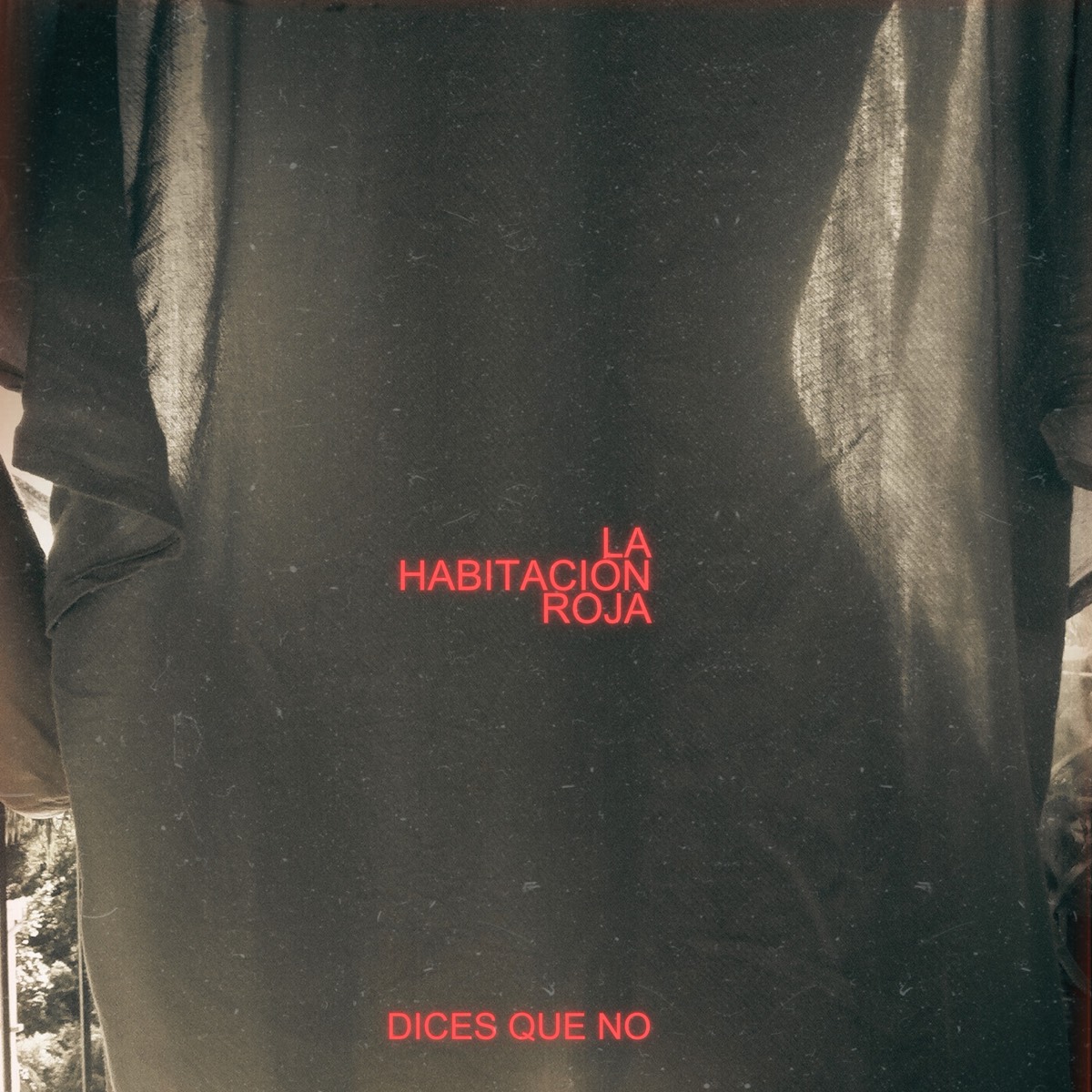 Dices que no