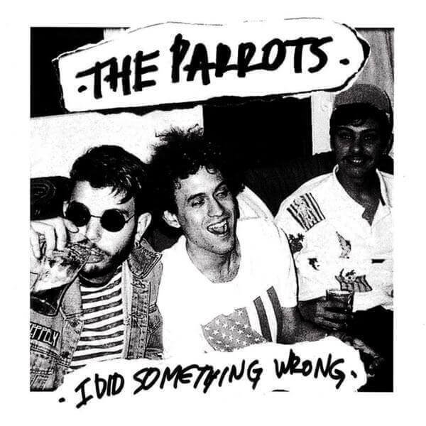 The Parrots - I Did Something Wrong